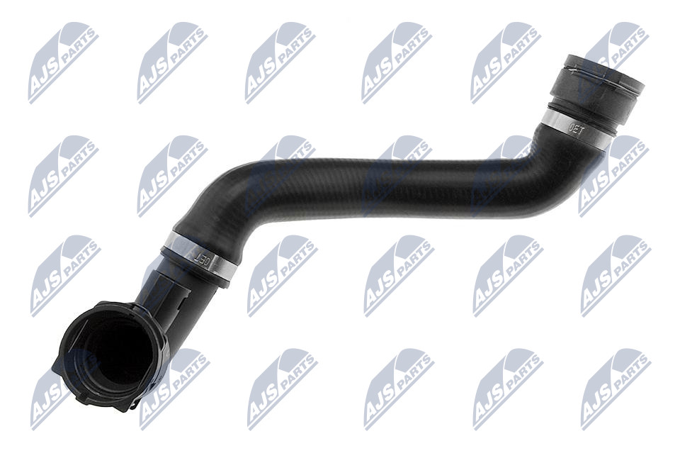 CPP-BM-019