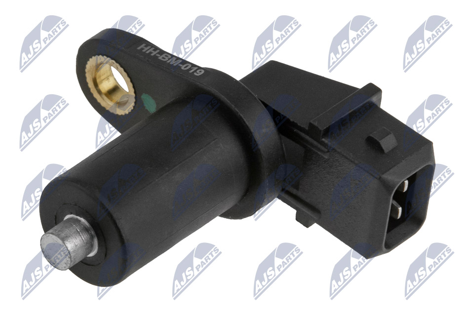 ECP-BM-019