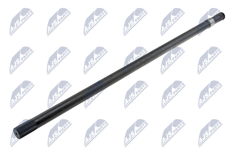 NWP-NS-019