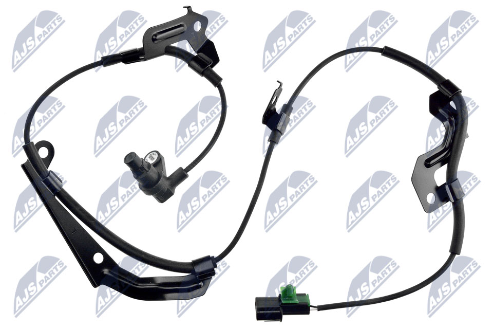HCA-MS-081