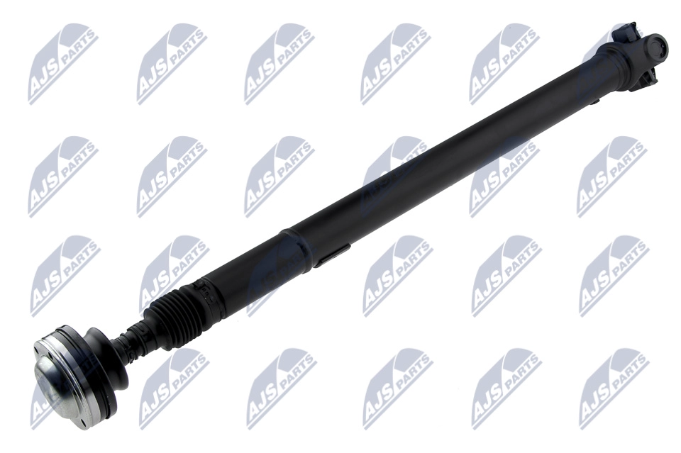 NWN-CH-025