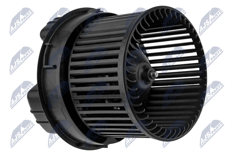 EWN-CT-004