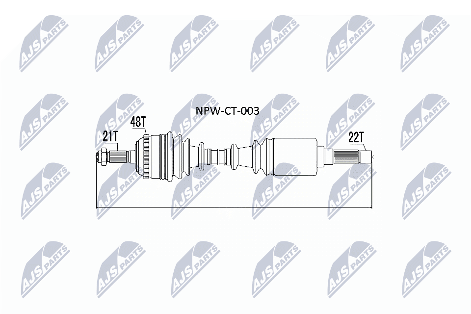 NPW-CT-003