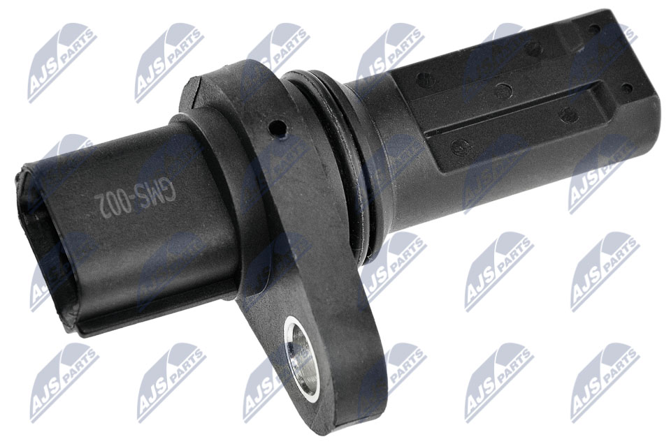 ECP-MS-002
