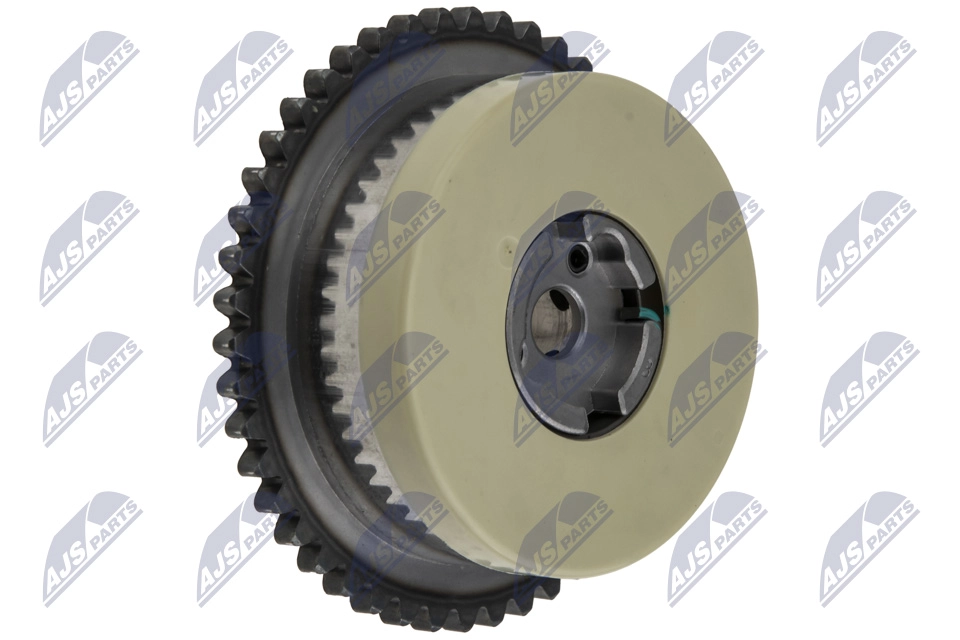 RKZ-PL-011