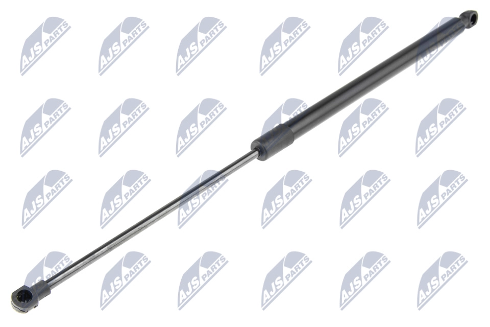 AE-NS-019