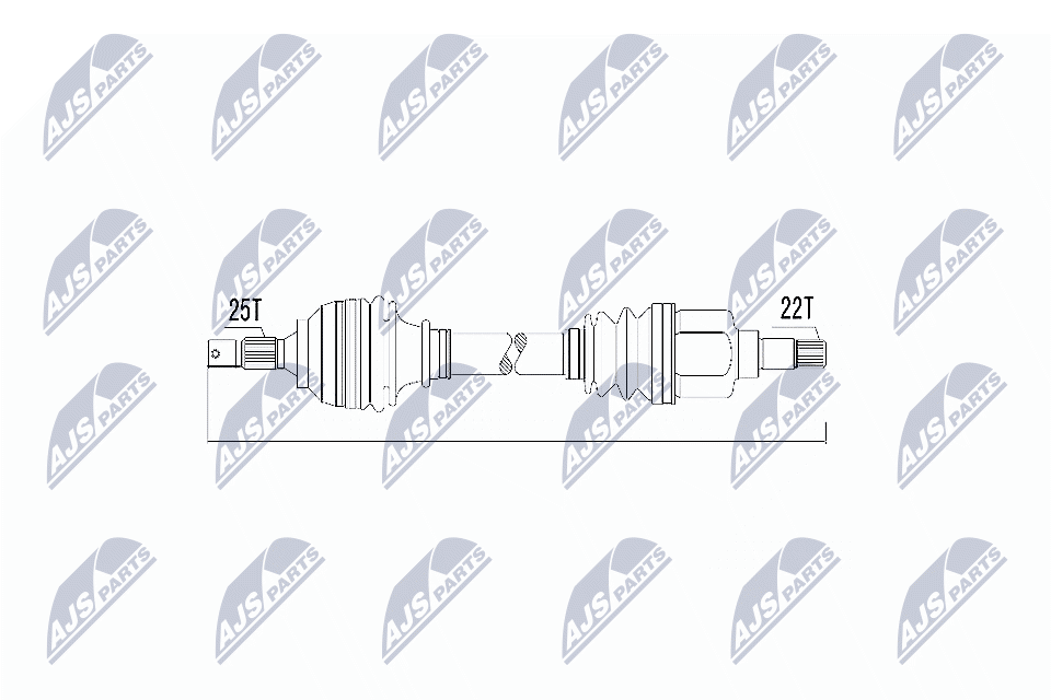 NPW-CT-010
