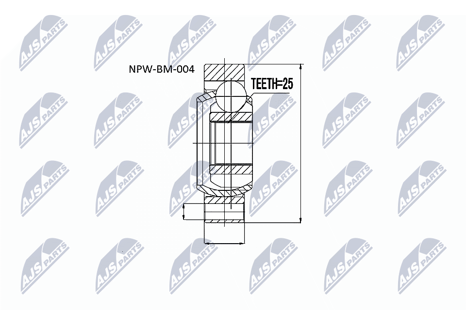 NPW-BM-004