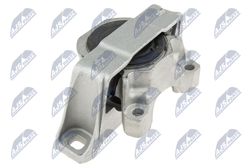 ZPS-FR-021