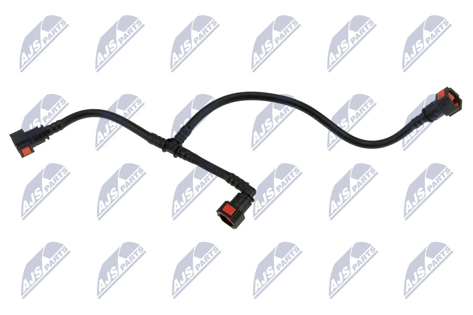 BPP-CT-019