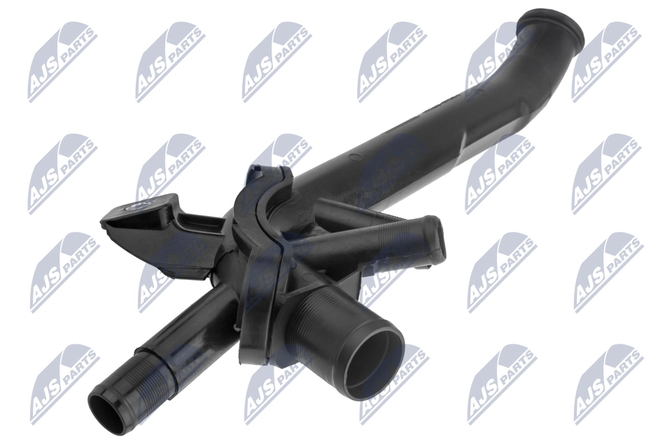 CPP-NS-008