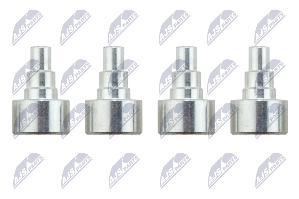 BKS-PL-009
