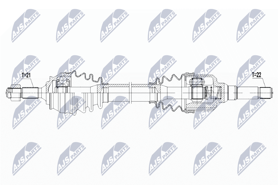 NPW-CT-095