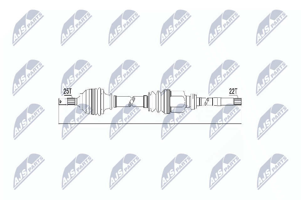 NPW-CT-011