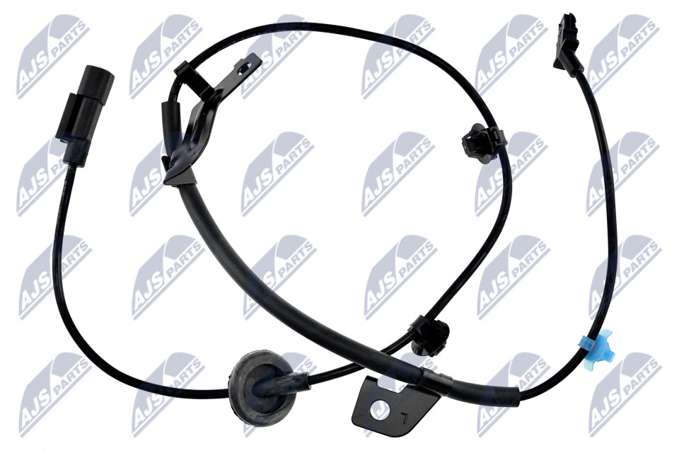 HCA-MS-047
