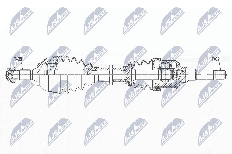 NPW-CT-113