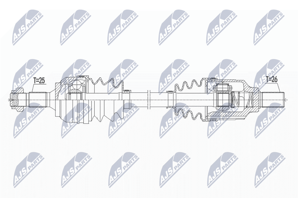 NPW-CT-087