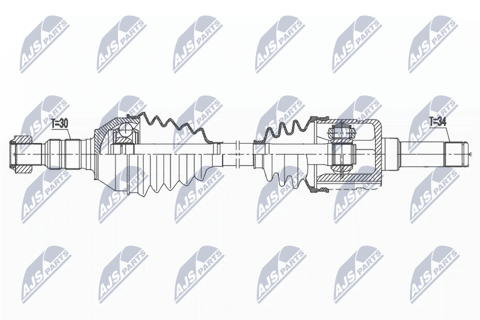 NPW-PL-107