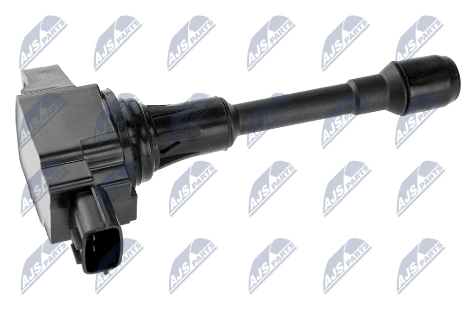 ECZ-NS-013