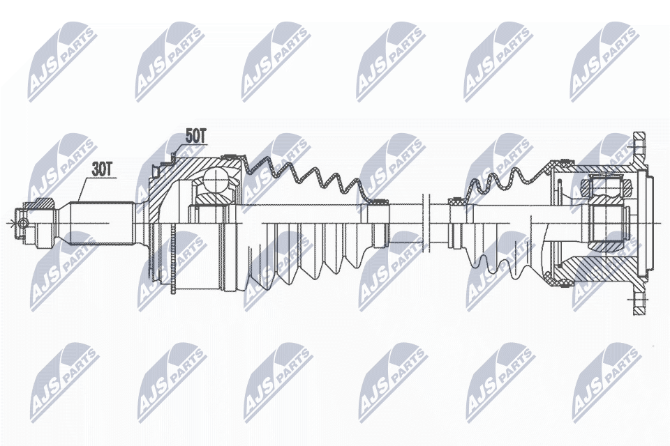 NPW-MS-081