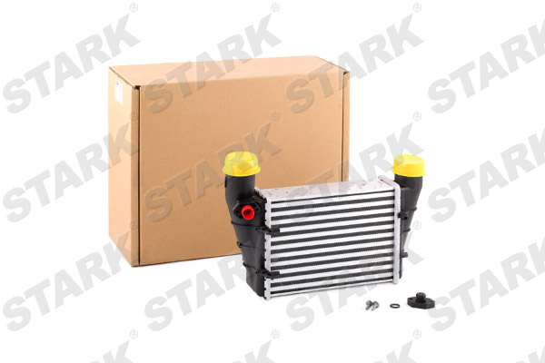SKICC-0890016