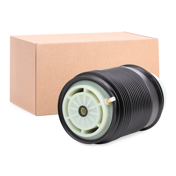 SKASS-1850029
