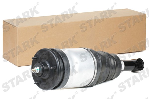 SKAST-1860015