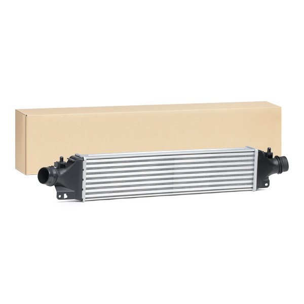 SKICC-0890483