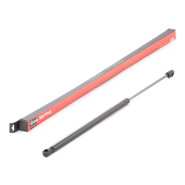 SKGS-0220300