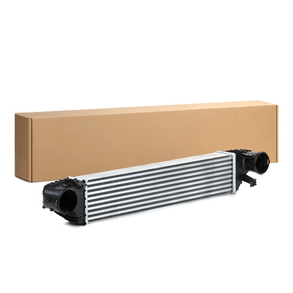 SKICC-0890022