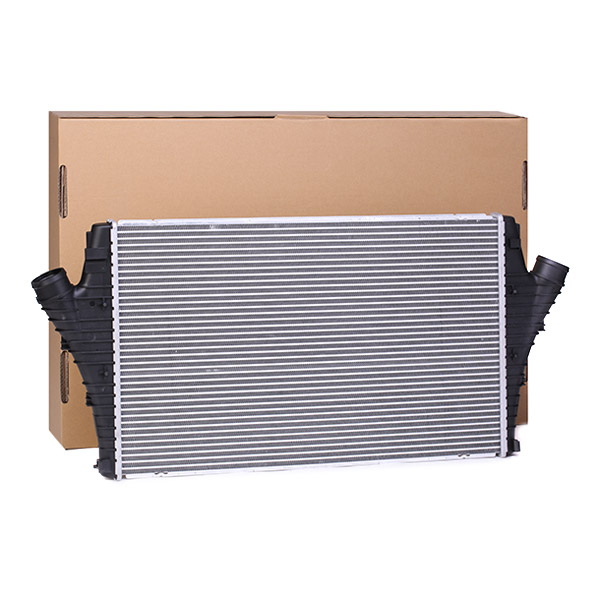SKICC-0890021