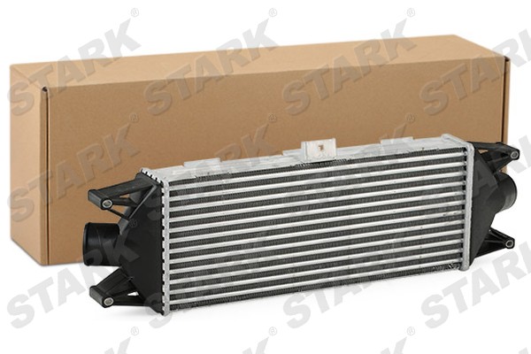 SKICC-0890244