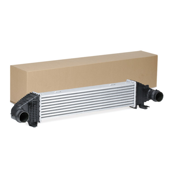 SKICC-0890086