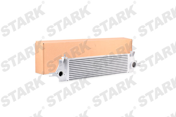 SKICC-0890025