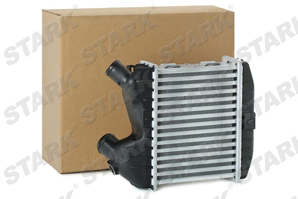SKICC-0890036