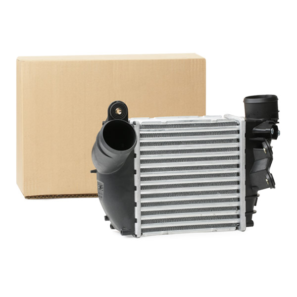 SKICC-0890004