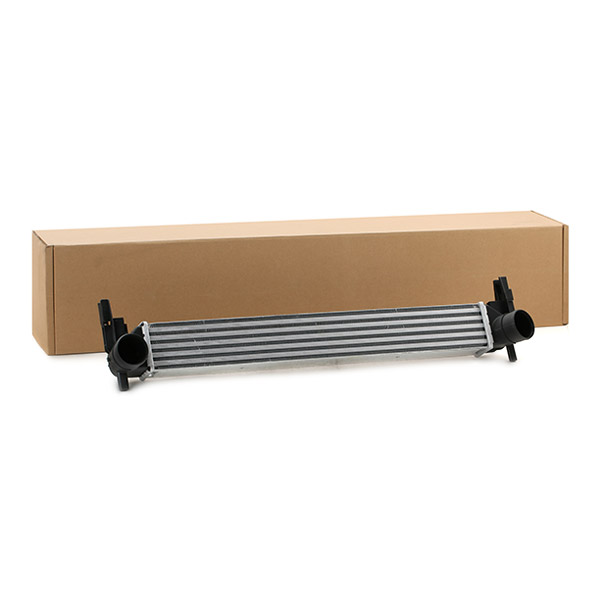 SKICC-0890040