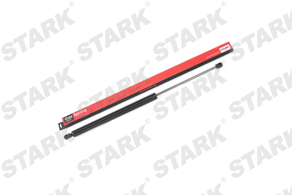 SKGS-0220484