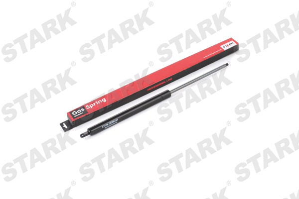 SKGS-0220479
