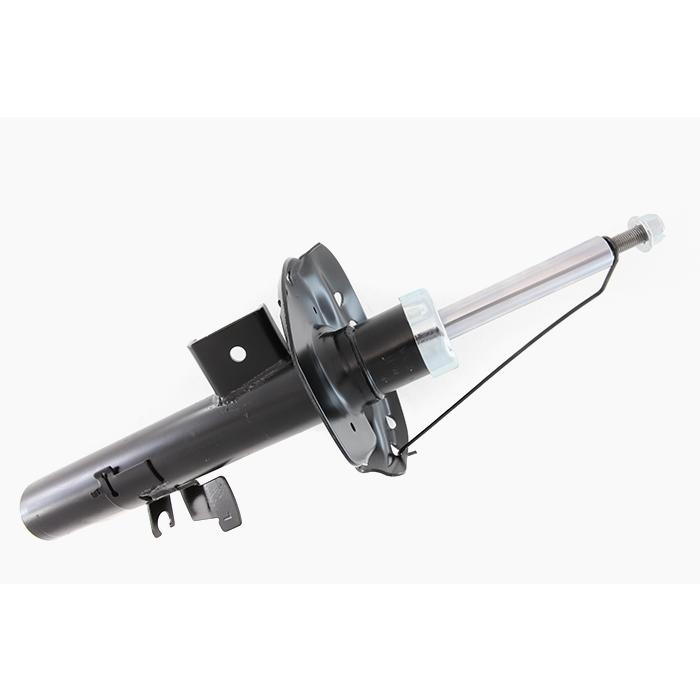 SKSA-0131698