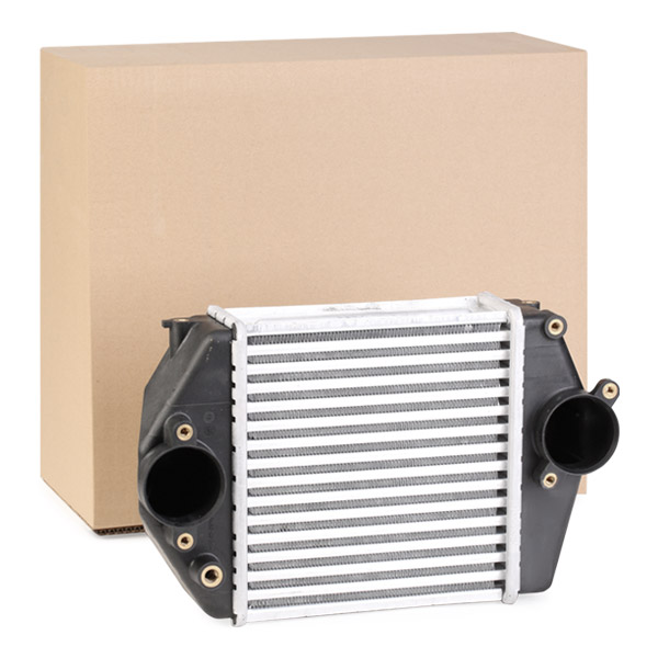 SKICC-0890032