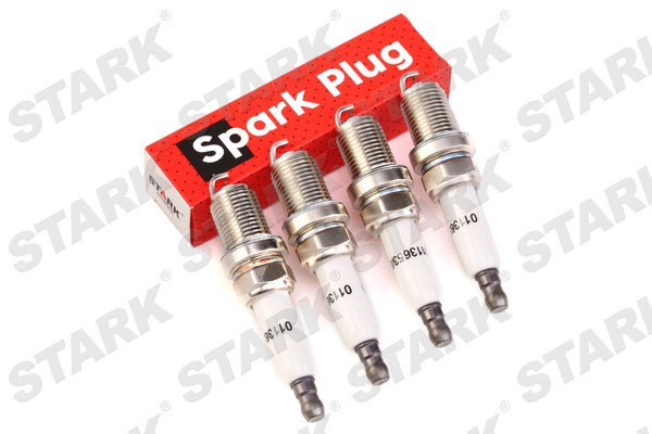 SKSP-19990313