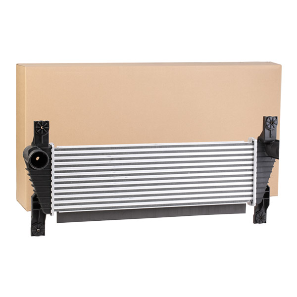 SKICC-0890246