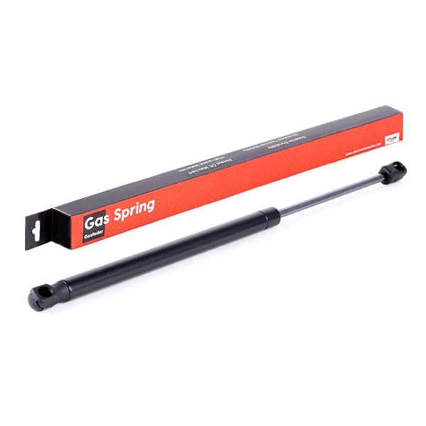 SKGS-0220393
