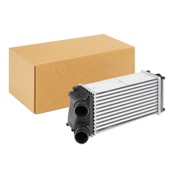 SKICC-0890334