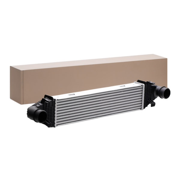 SKICC-0890087