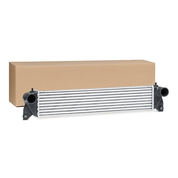 SKICC-0890342