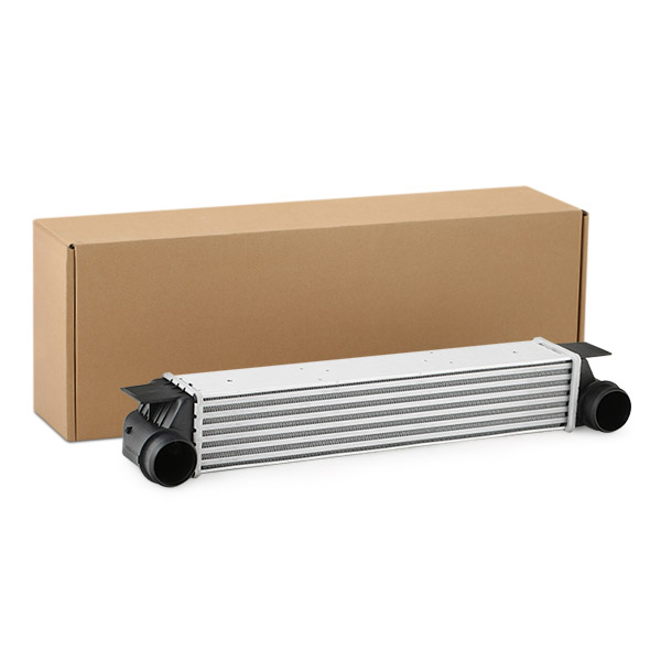 SKICC-0890066