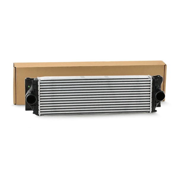 SKICC-0890039