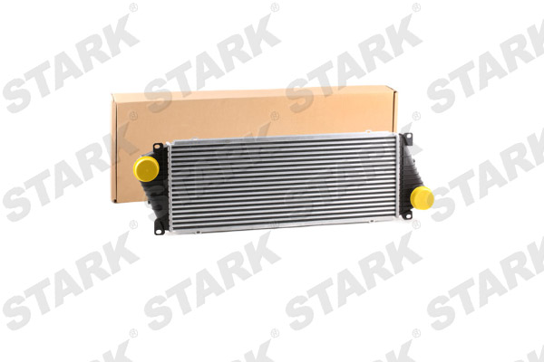 SKICC-0890013